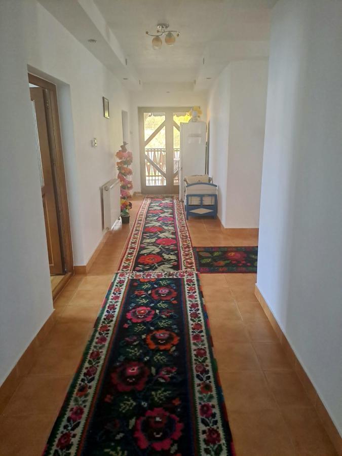 Pensiunea Rednic Lenuta Giulesti Exteriér fotografie
